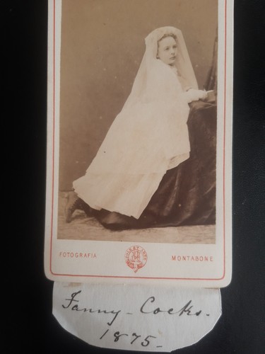 1875 cdv fanny - cdv, cocks